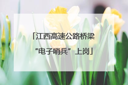 江西高速公路桥梁“电子哨兵”上岗