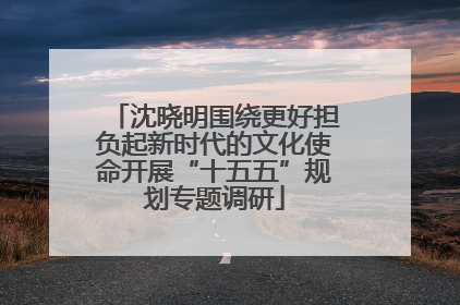 沈晓明围绕更好担负起新时代的文化使命开展“十五五”规划专题调研