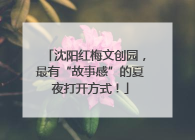 沈阳红梅文创园，最有“故事感”的夏夜打开方式！