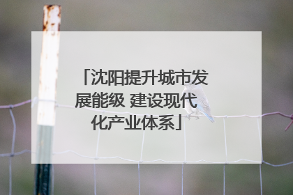 沈阳提升城市发展能级 建设现代化产业体系