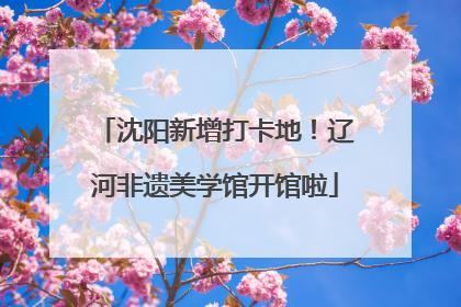 沈阳新增打卡地！辽河非遗美学馆开馆啦