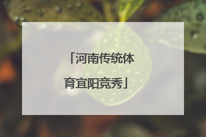 河南传统体育宜阳竞秀