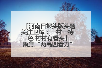 河南日报头版头题关注卫辉：一村一特色 村村有看头 ︳聚焦“两高四着力”·一“县”观察