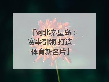 河北秦皇岛：赛事引领 打造体育新名片
