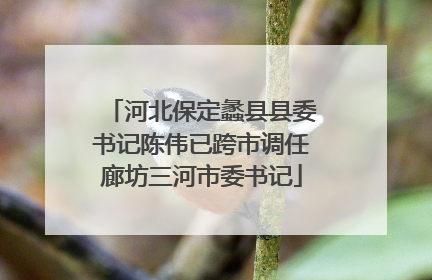 河北保定蠡县县委书记陈伟已跨市调任廊坊三河市委书记