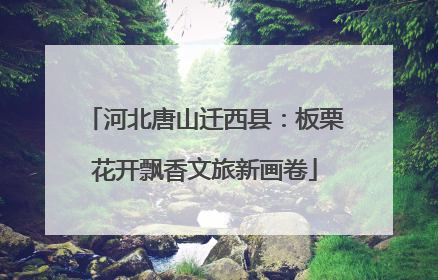 河北唐山迁西县：板栗花开飘香文旅新画卷
