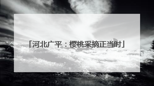 河北广平：樱桃采摘正当时