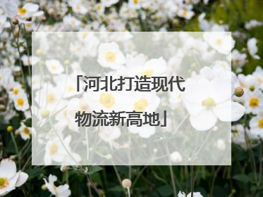 河北打造现代物流新高地