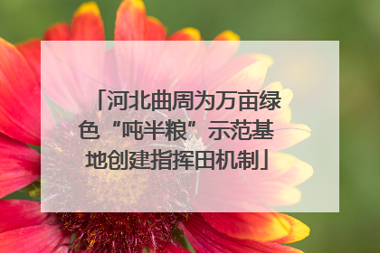河北曲周为万亩绿色“吨半粮”示范基地创建指挥田机制