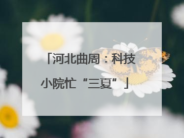 河北曲周：科技小院忙“三夏”