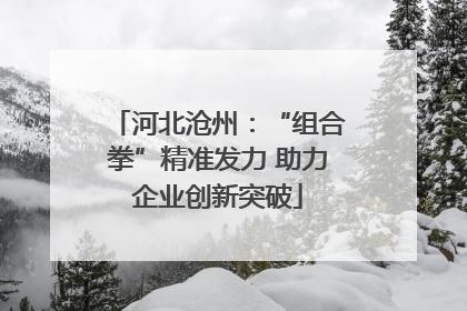河北沧州：“组合拳”精准发力 助力企业创新突破
