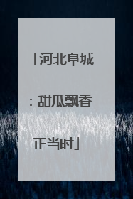 河北阜城：甜瓜飘香正当时