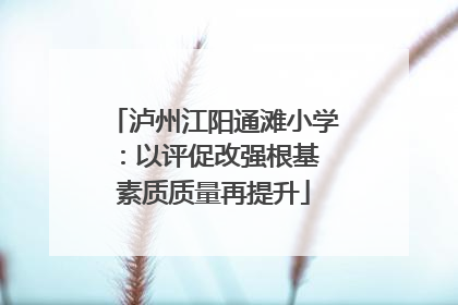泸州江阳通滩小学：以评促改强根基 素质质量再提升