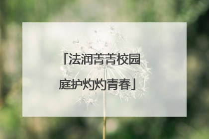 法润菁菁校园 庭护灼灼青春