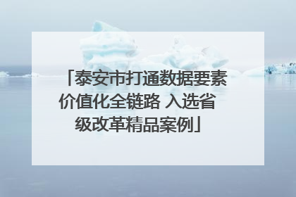 泰安市打通数据要素价值化全链路 入选省级改革精品案例