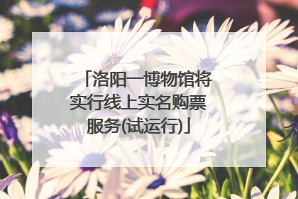 洛阳一博物馆将实行线上实名购票服务(试运行)