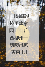 洪峰过境重建家园——广西柳州一线防汛抗灾直击
