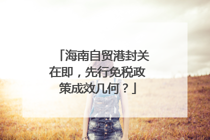 海南自贸港封关在即，先行免税政策成效几何？