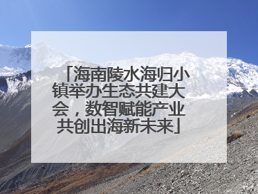 海南陵水海归小镇举办生态共建大会，数智赋能产业共创出海新未来