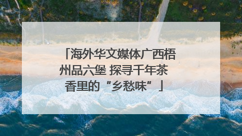海外华文媒体广西梧州品六堡 探寻千年茶香里的“乡愁味”