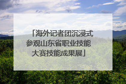海外记者团沉浸式参观山东省职业技能大赛技能成果展
