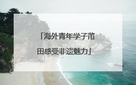 海外青年学子莆田感受非遗魅力