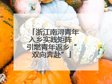 浙江南浔青年入乡实践矩阵 引燃青年返乡“双向奔赴”