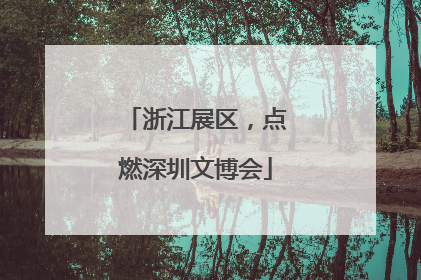 浙江展区，点燃深圳文博会