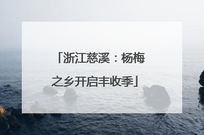 浙江慈溪：杨梅之乡开启丰收季