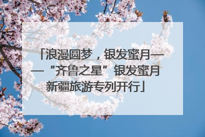 浪漫圆梦，银发蜜月——“齐鲁之星”银发蜜月新疆旅游专列开行