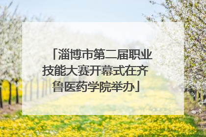 淄博市第二届职业技能大赛开幕式在齐鲁医药学院举办