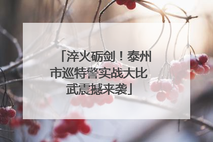 淬火砺剑！泰州市巡特警实战大比武震撼来袭