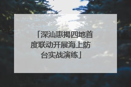 深汕惠揭四地首度联动开展海上防台实战演练