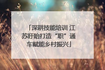 深耕技能培训 江苏盱眙打造“职”通车赋能乡村振兴