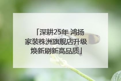 深耕25年 鸿扬家装株洲旗舰店升级焕新刷新高品质