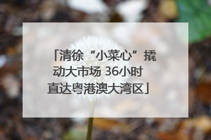 清徐“小菜心”撬动大市场 36小时直达粤港澳大湾区
