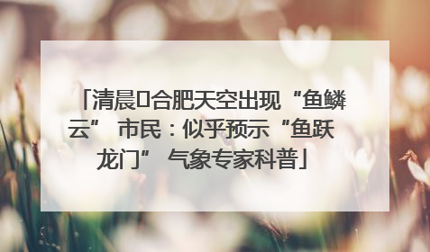 清晨﻿合肥天空出现“鱼鳞云” 市民：似乎预示“鱼跃龙门” 气象专家科普