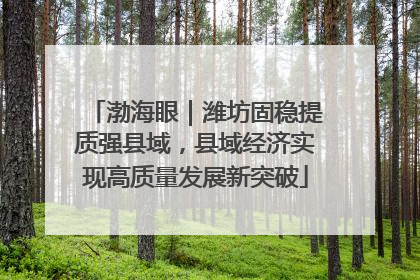 渤海眼｜潍坊固稳提质强县域，县域经济实现高质量发展新突破