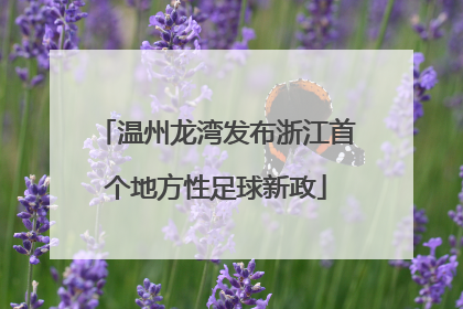 温州龙湾发布浙江首个地方性足球新政
