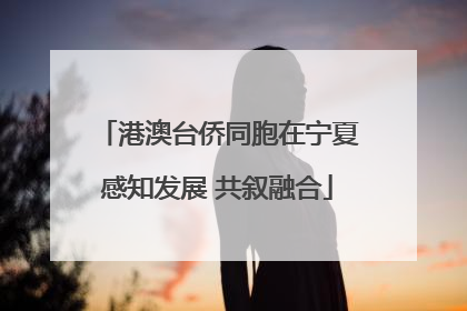 港澳台侨同胞在宁夏感知发展 共叙融合