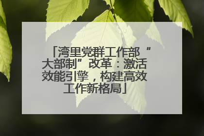 湾里党群工作部“大部制”改革：激活效能引擎，构建高效工作新格局