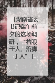 湖南省委书记端午前夕的这场调研，“着眼于人、落脚于人”