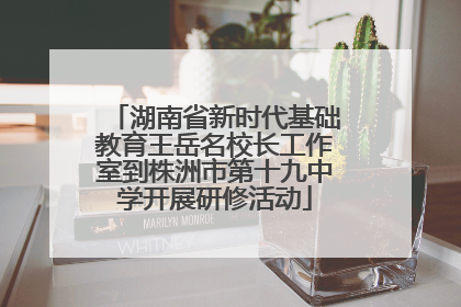 湖南省新时代基础教育王岳名校长工作室到株洲市第十九中学开展研修活动