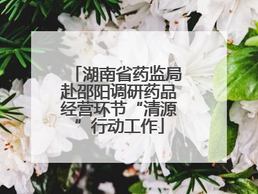 湖南省药监局赴邵阳调研药品经营环节“清源”行动工作