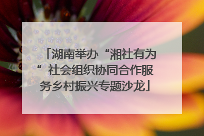 湖南举办“湘社有为”社会组织协同合作服务乡村振兴专题沙龙