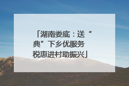 湖南娄底：送“典”下乡优服务 税惠进村助振兴