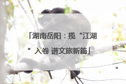 湖南岳阳：揽“江湖”入卷 谱文旅新篇