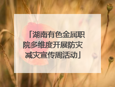 湖南有色金属职院多维度开展防灾减灾宣传周活动