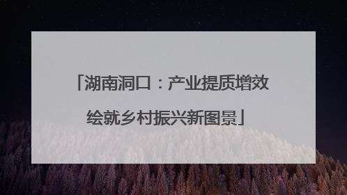 湖南洞口：产业提质增效 绘就乡村振兴新图景