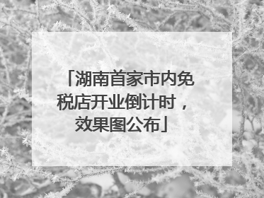 湖南首家市内免税店开业倒计时，效果图公布